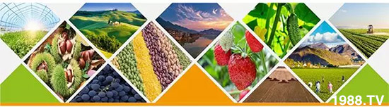 �����������L���߉��������ͷ���Ѹ������������ƌW���L���g�޴���