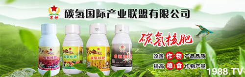 �����������L���߉��������ͷ���Ѹ������������ƌW���L���g�޴�