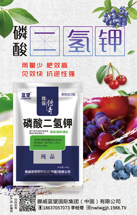 ������t����ֲע�����(xi��ng)��������t������ڹ�������