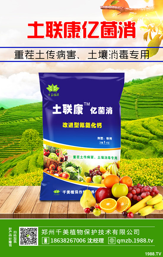     �＾����������ι������＾����������ֲ�������g(sh��)��