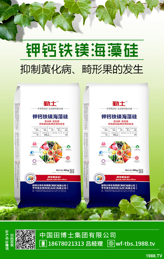 �ﶬ�����S����ηNֲ���ﶬ�S�ϵķNֲ����������������