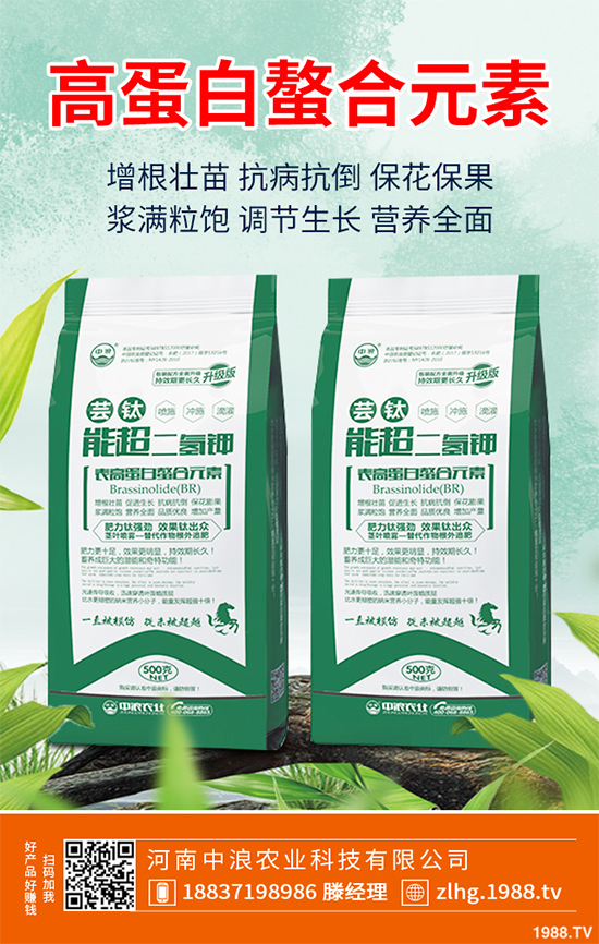 ���ʲô�r��NֲЧ���������˸߮a(ch��n)�Nֲ���g(sh��)Ҫ�c(di��n)