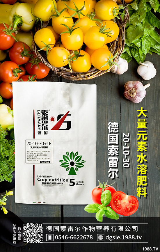 ��η����������~�����������~���ķ��δ�ʩ��