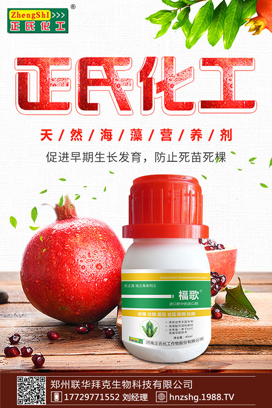 ���y����ʲô���������y���Ĺ�Ч�cʳ�ý�����