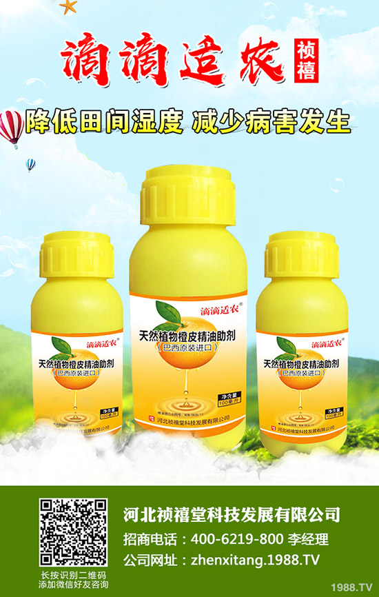 �＾��ݮ��ι������ܸ߮a(ch��n)���＾��ݮ��ֲ�������g��