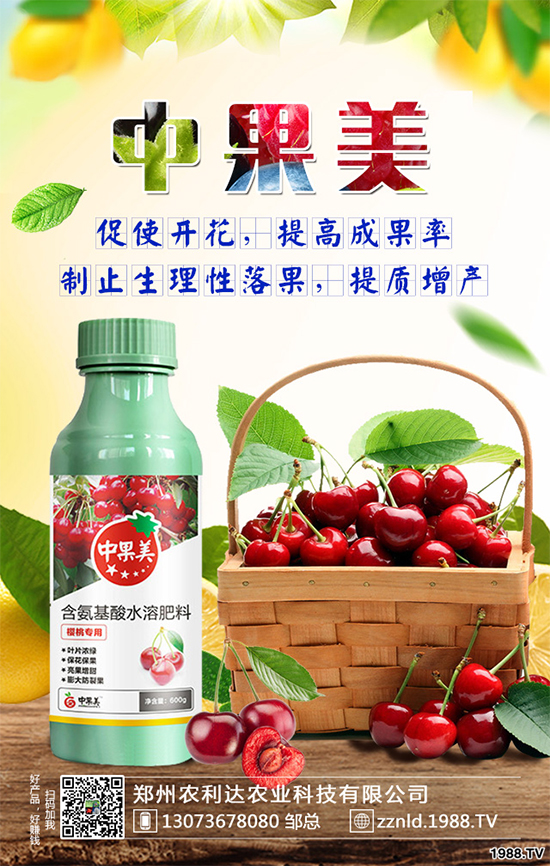 ��ʲô�r(sh��)��N�Nֲ���𽷷NֲҪ�c(di��n)��