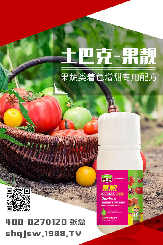 南瓜種植時間是什么時候？南瓜的播種方法及栽培技術!