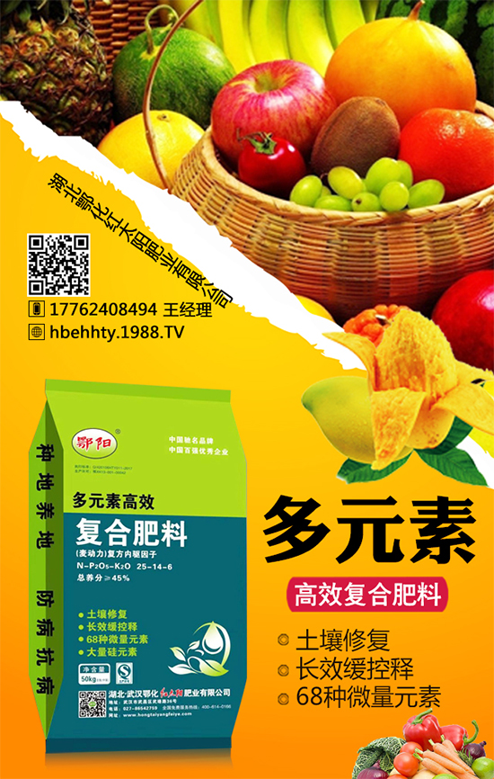 黃皮火龍果怎么種植？黃皮火龍果的種植技術(shù)！