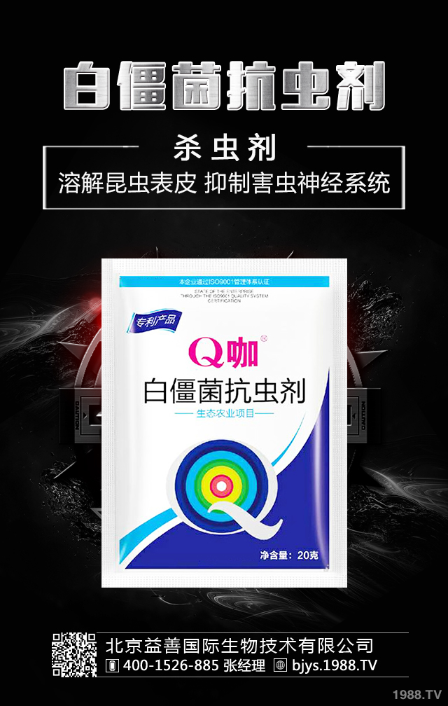 �¼����x����ô�������¼����x�����μ��\