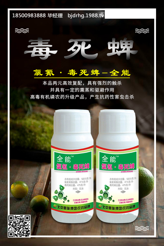 ���ټt֩����ô���������ټt֩����Ч���μ���