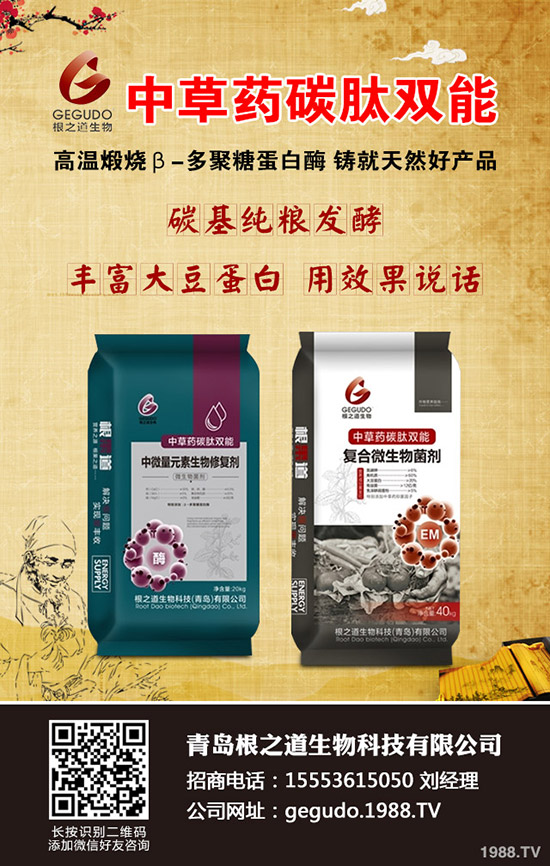     ����ʮ����ʲô����ע�����(xi��ng)�����ӹ���������10�¹���ָ��(d��o)���h��