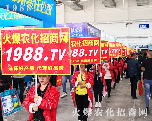 2019�L(zh��ng)��ֲ����(hu��)�����r(n��ng)���W(w��ng)�����ƏV��(sh��)���ɓ���