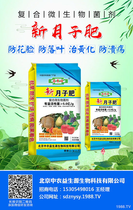     ���վֲ��^(q��)�������Ј����鼰������r2019-10-4