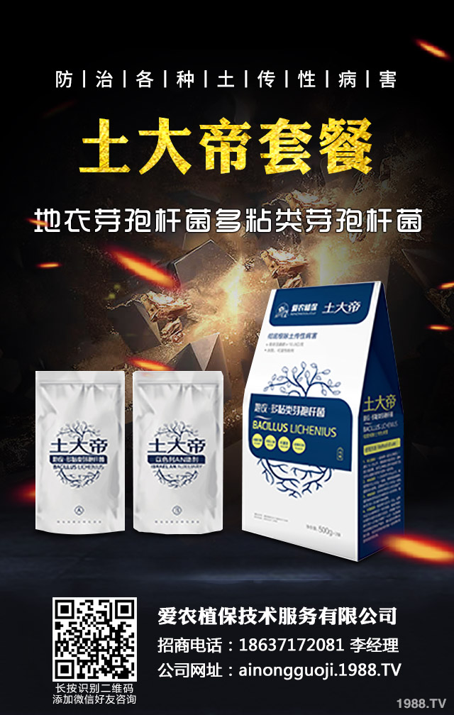 �ﲥС����ô����|(zh��)�����ﲥС������|(zh��)����Ҫ�c(di��n)