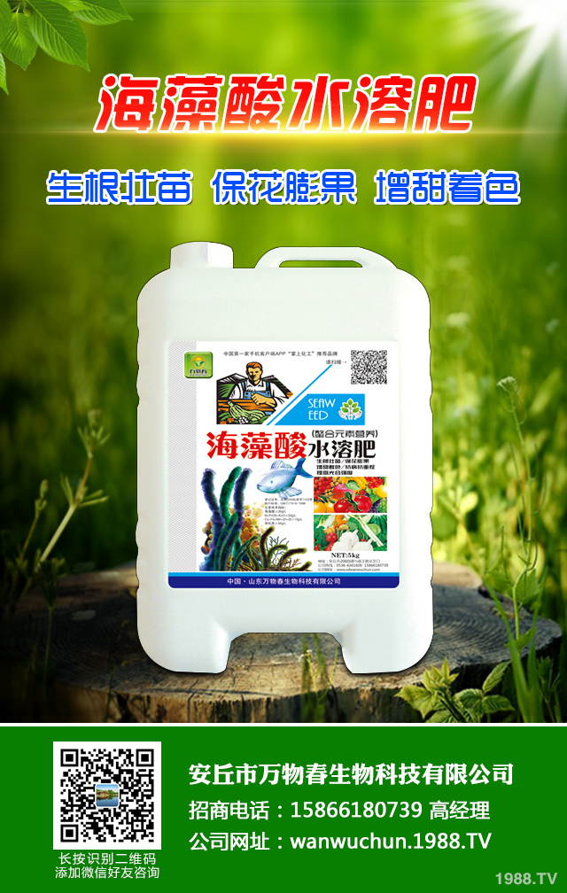 �ﲥС����ô����|(zh��)�����ﲥС������|(zh��)����Ҫ�c(di��n)