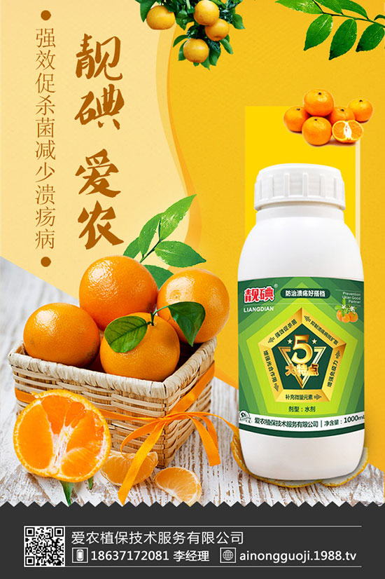 ���m����ηNֲ�����m���Nֲ�r(sh��)�g��������