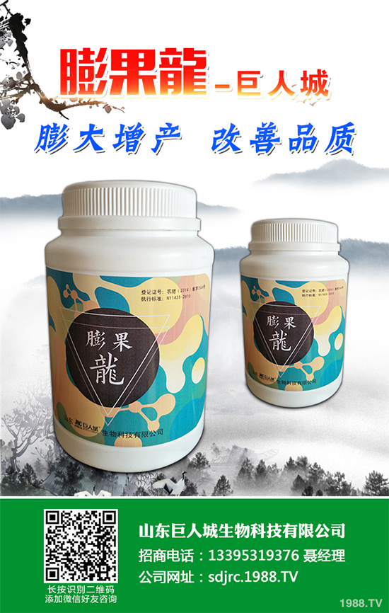 萵苣該如何施肥？萵苣的高產(chǎn)施肥技術(shù)有哪些？這些方法很重要！