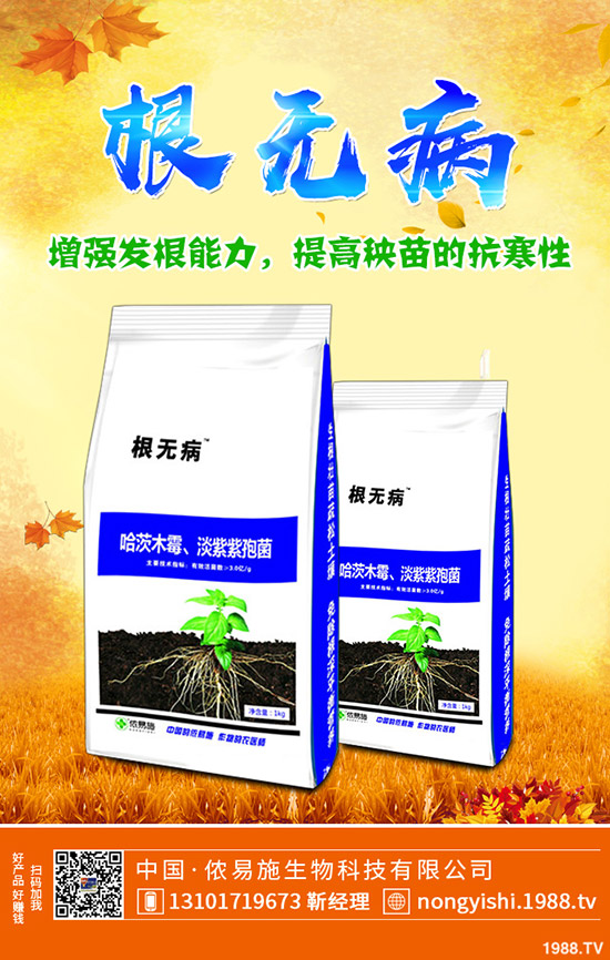     國慶節(jié)前一銨出貨壓力大！最新一銨行情走勢預(yù)測2019-9-30