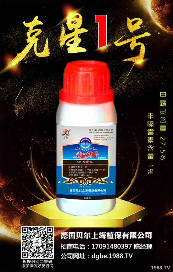 ��������X