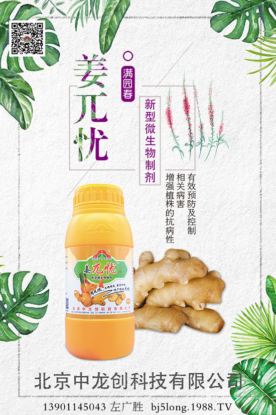 ����ʩ�ʵķ�������Щ�����ʩ�ʲ��ܸ߮a(ch��n)������ʩ�ʼ��ɣ�