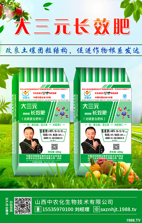     秋季大蔥如何管理？秋季大蔥種植管理方法及技術！