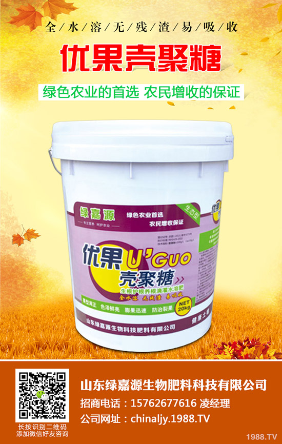 影響水稻分蘗的因素有哪些？如何提高水稻分蘗？