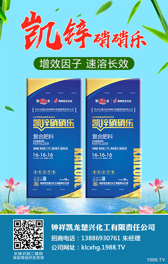     �n�ĺڰ߲�����ΰl(f��)����������ЩΣ�����n�ĺڰ߲����δ�ʩ