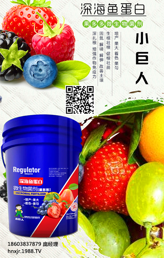 �t����ô�Nֲ���t���Nֲ�ĸ߮a(ch��n)����Ҫ�c 