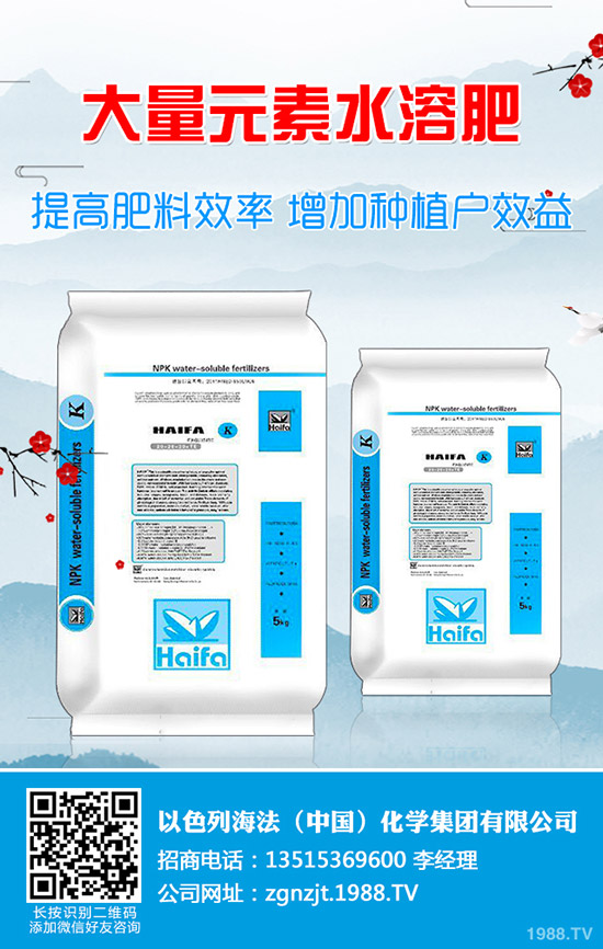     2019��9�µ�һ��?ch��)?gu��)��(n��i)⛷��Ј�(ch��ng)�r(ji��)�������߄�(sh��)�����܈�(b��o)