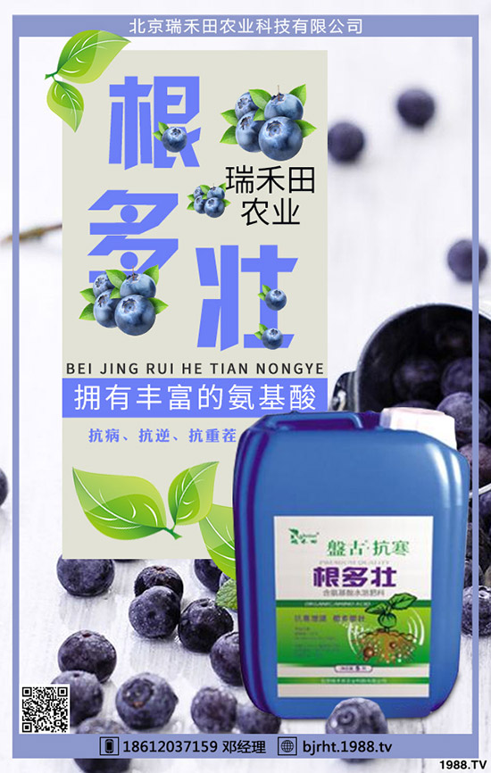 ���t��ʲô�r(sh��)�g�Nֲ�����t���Nֲ����