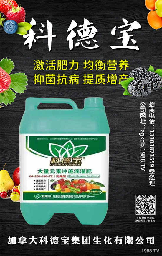 九月種什么蔬菜比較好？2019年9月蔬菜種植指南