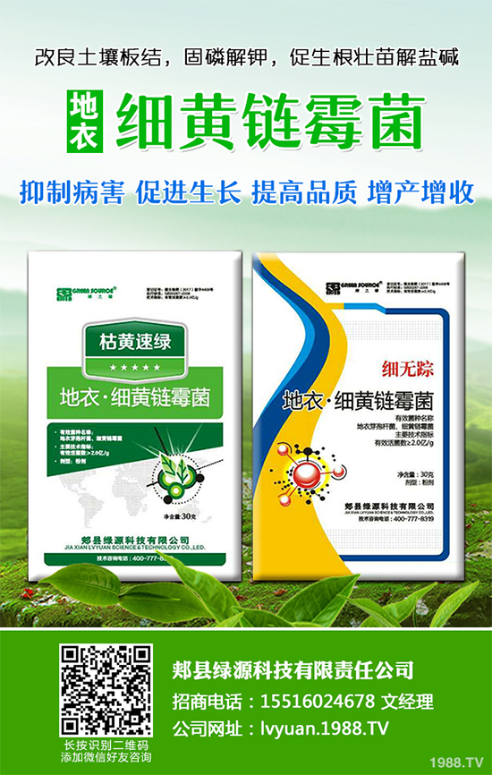 九月種什么蔬菜比較好？2019年9月蔬菜種植指南