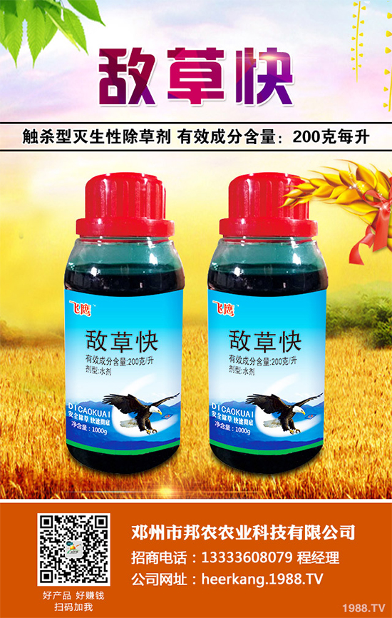 ���Q����2023����ȫ����òݸ�� �ݶ��������ؿƌW�C��(j��)