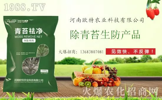 �������̦���������������Ƀ�����̦�oۙ��