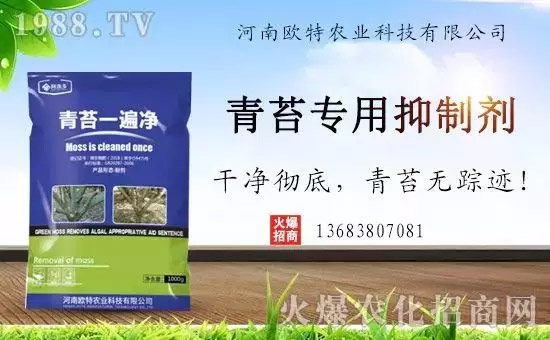 �������̦���������������Ƀ�����̦�oۙ��