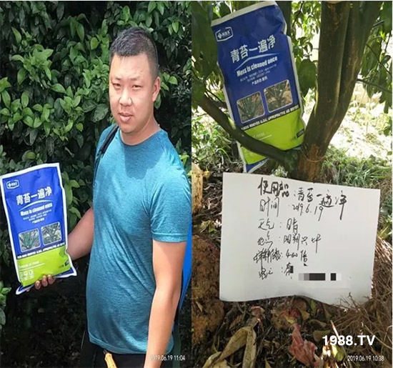 �������̦���������������Ƀ�����̦�oۙ��