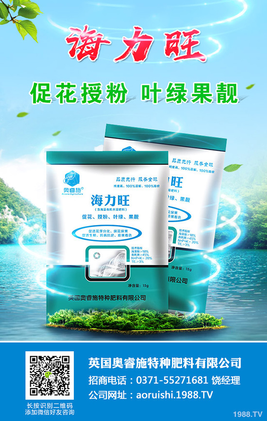 現(xiàn)在種植沙糖桔還賺錢嗎？沙糖桔種植技術(shù)大全