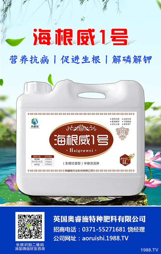 如何種植羊角蜜才能高產(chǎn)？羊角蜜種植時間和種植方法