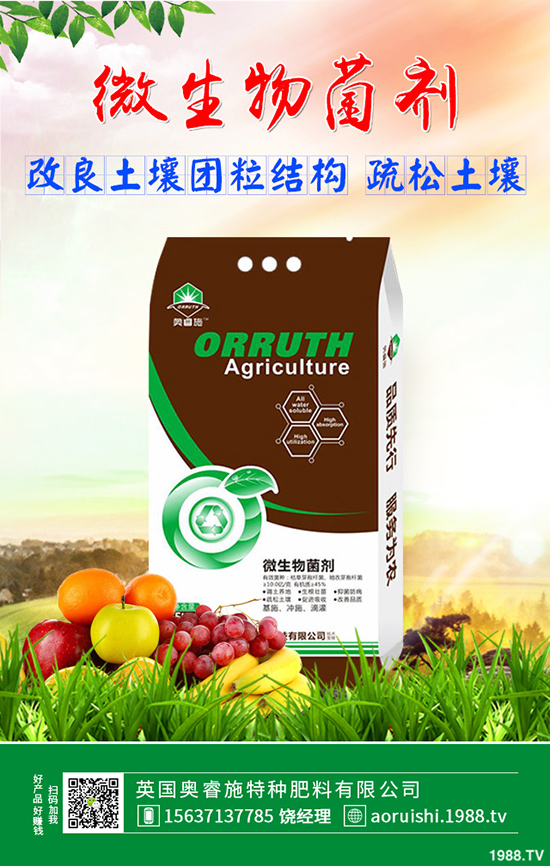 雪菜種植講究技巧，你會嗎？雪菜優(yōu)質(zhì)豐產(chǎn)種植技術(shù)