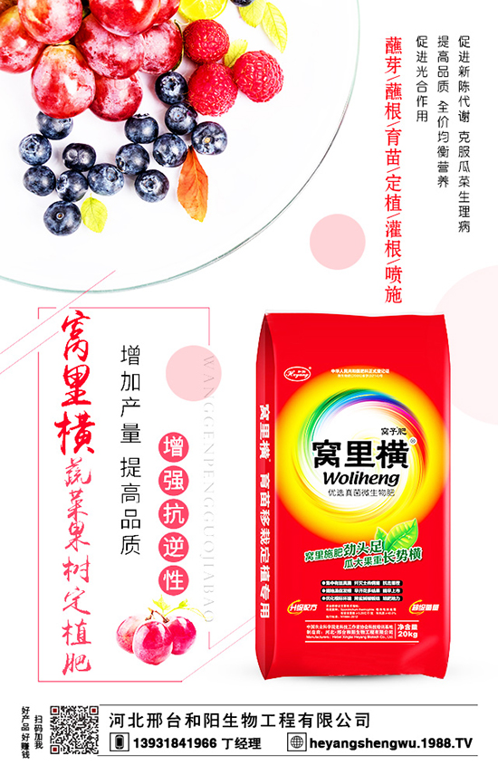 ���۵�ʩ��Ҫ�c(di��n)����˽����һ������������