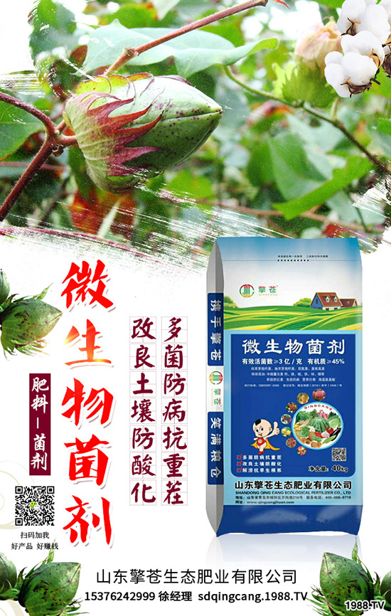     ����(ji��)��(l��i)�R��2020��1�������ܷ�ͦ�r(ji��)�����������߄�(sh��)�A(y��)�y(c��)��