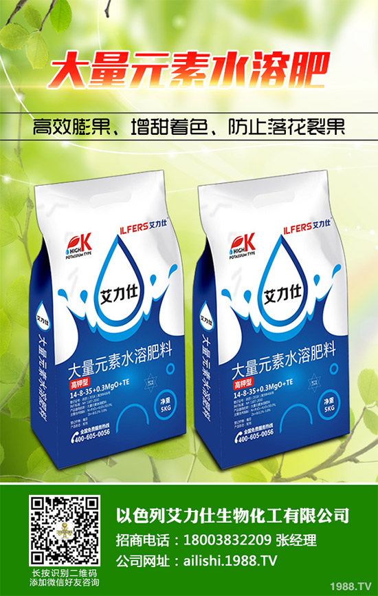 �۲˸���������ΰl(f��)������ԓ���ӷ��Σ����(l��i)��������