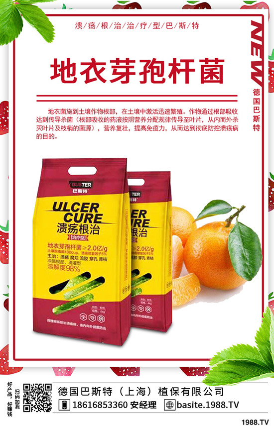 �ֲ��؅^(q��)���������»���2020-1-17����(n��i)���؃r���߄ݼ��������u��