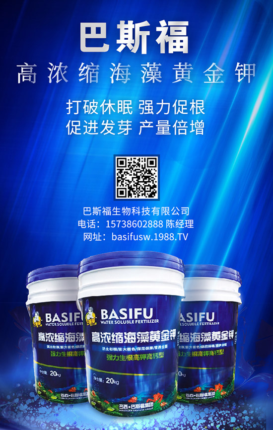 復(fù)合肥今年冬儲(chǔ)還有戲嗎？2020-1-18復(fù)合肥價(jià)格行情日?qǐng)?bào)