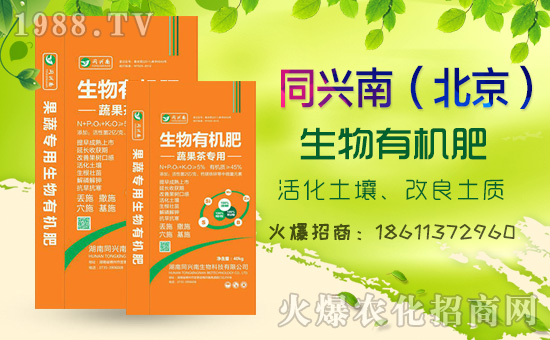     2020⛷ʃr���߄���Σ����������߄��A(y��)�y��