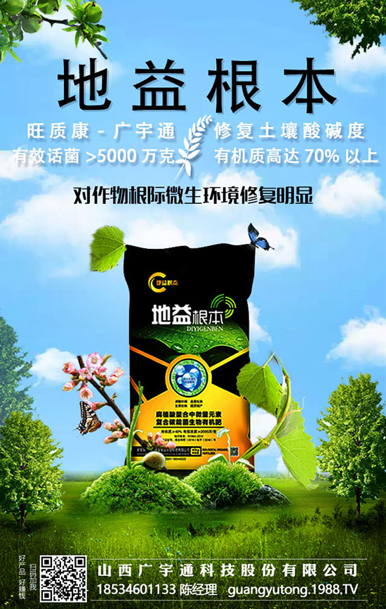 檳榔想豐收，規(guī)范施肥不能少，用過以后喜上眉梢！