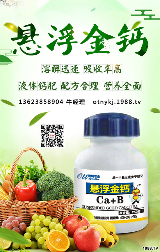 紅藤有哪些神奇功效？紅藤的功效作用及禁忌人群