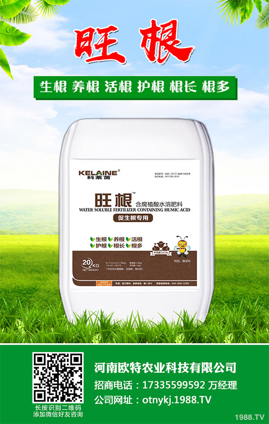 紅藤有哪些神奇功效？紅藤的功效作用及禁忌人群