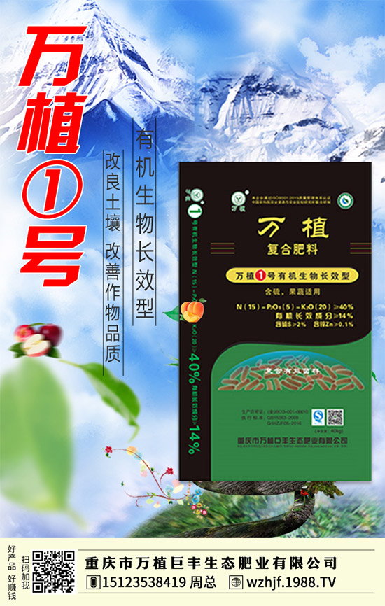     �R����ĩ�����@�Ј��������f������2020-1-4�������¶��@�r�����