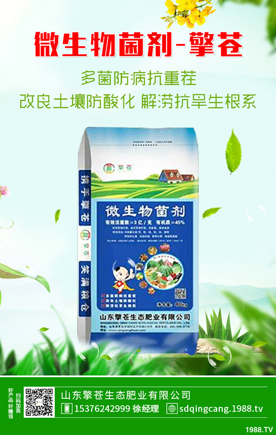     2020��1��4�մ���(ji��)ǰ���@�r(ji��)���ϸ�����������һ�@�r(ji��)�����(b��o)��